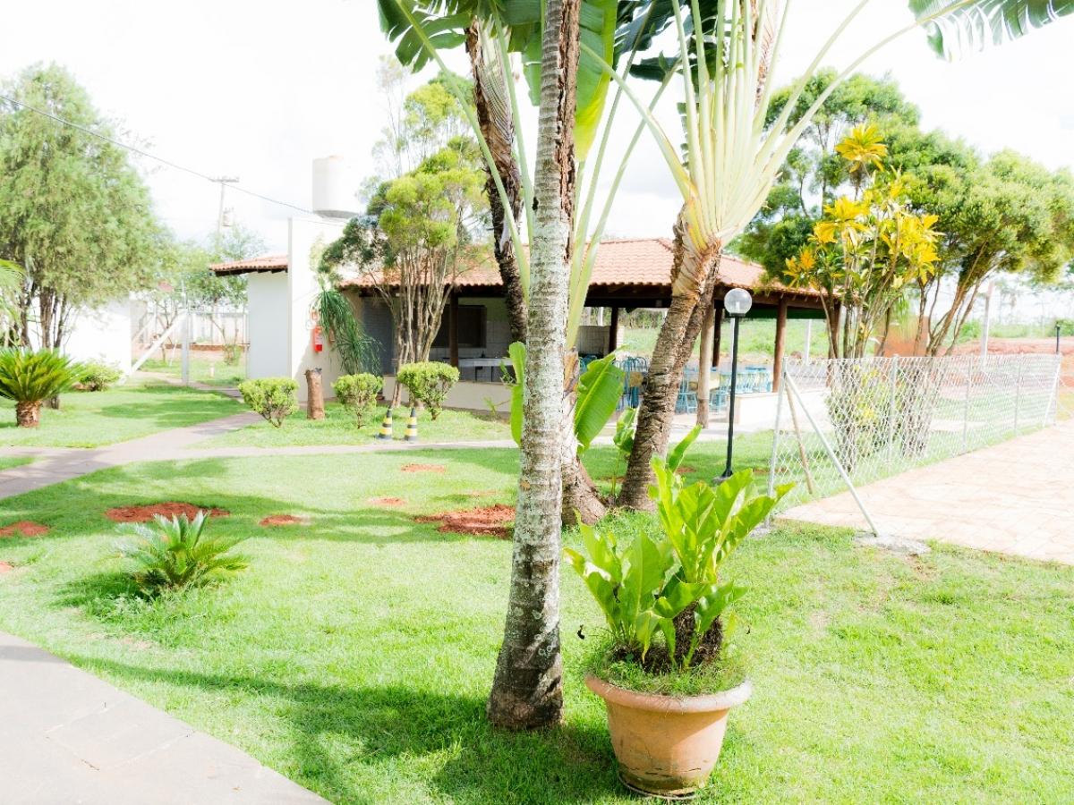 Jardim e área verde